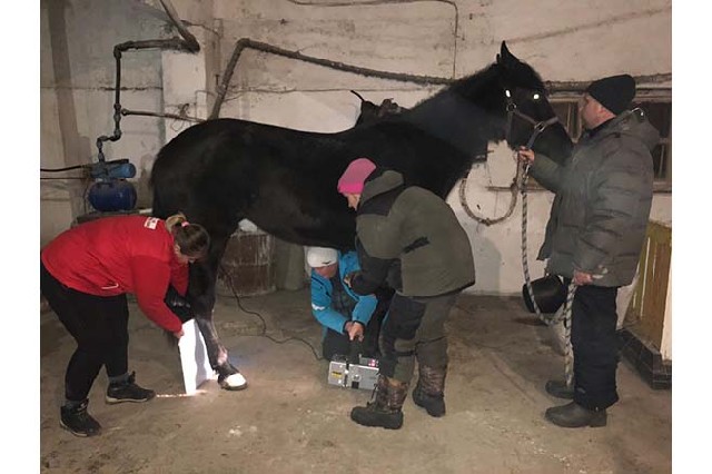 Лечение сельскохозяйственных животных в Екатеринбурге и области ООО Фирма Сфера - 9
